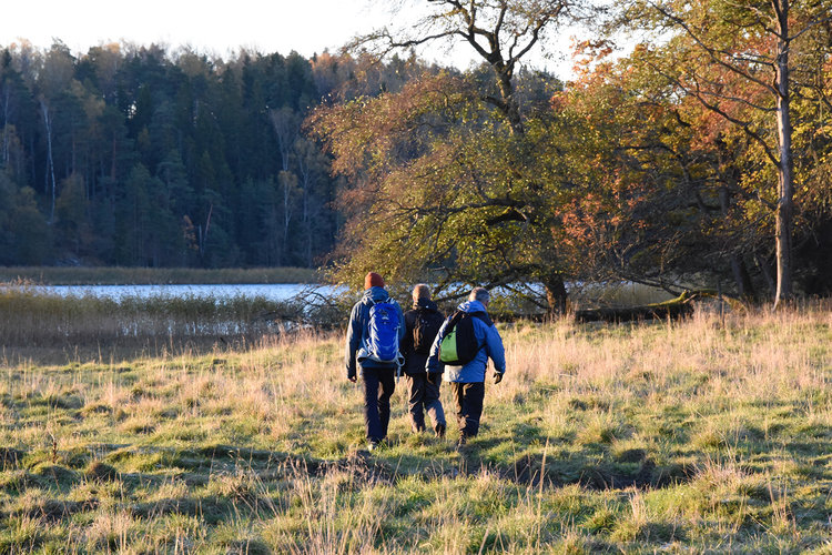 Pilgrimsvandring med avslutande andakt Pilgrimsvandring med avslutande andakt
